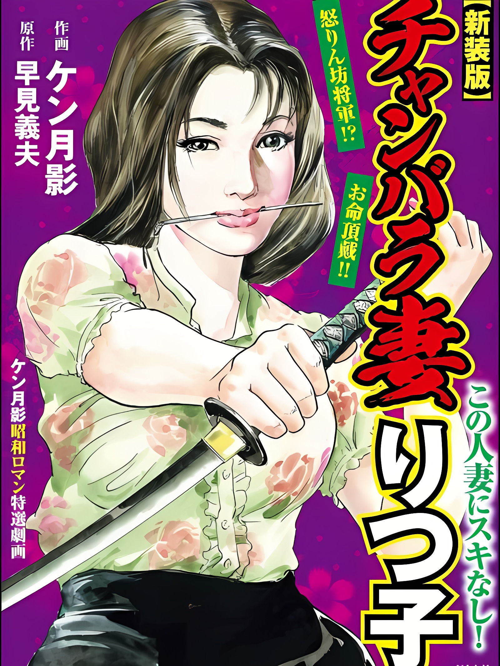 剑斗妻律子