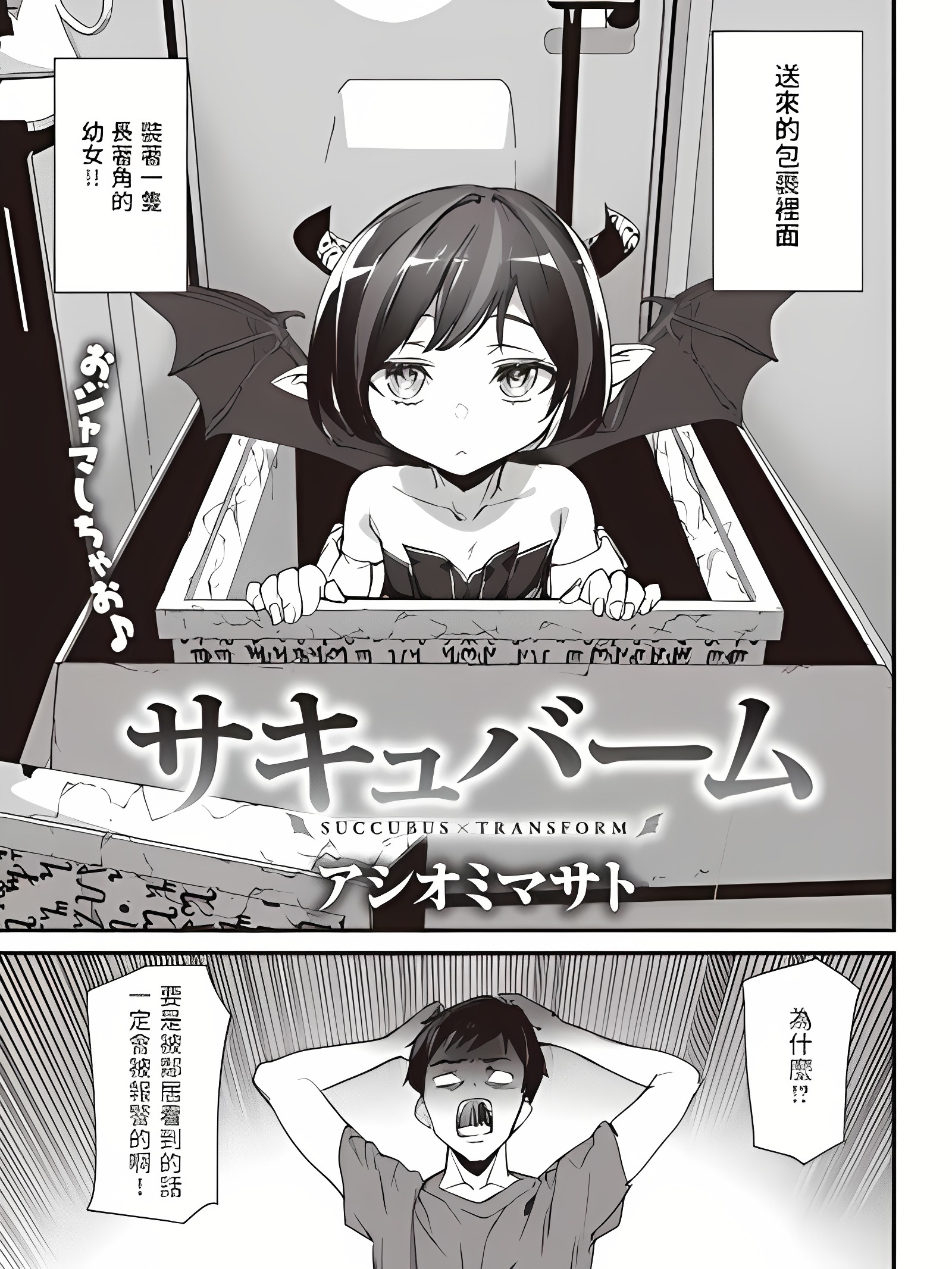 魅魔梦